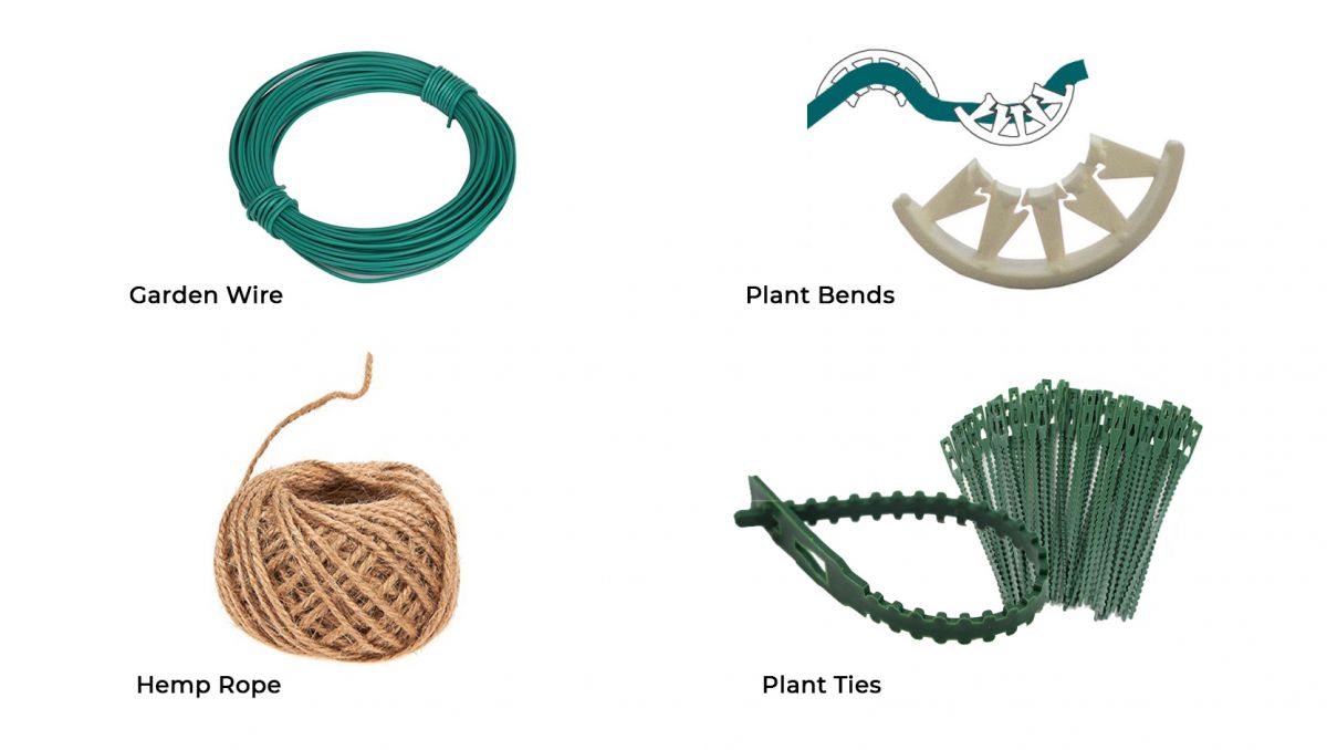 Plant Training Techniques The TieDown Method Fast Buds