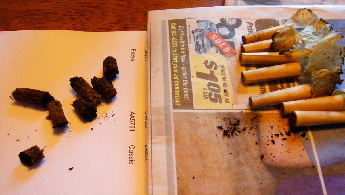 The Weed Dictionary Stoners' Slang Explained Fast Buds