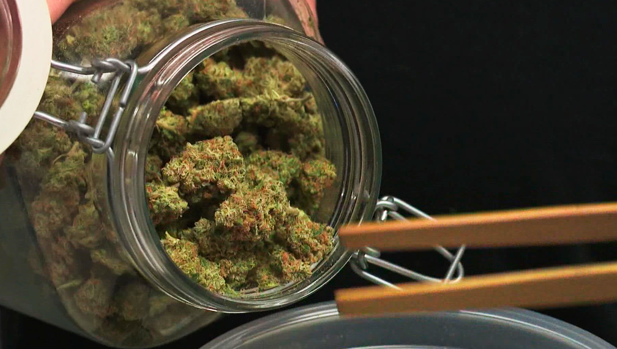 Weed in The Philippines Cannabis Legal Status Guide Fast Buds