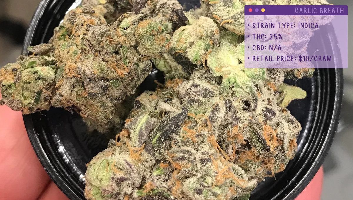22 Best Weed Strains to Try in 2022 Fast Buds
