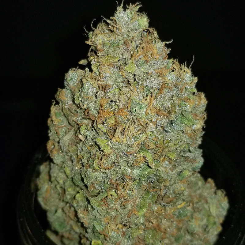 Zkittlez auto авто