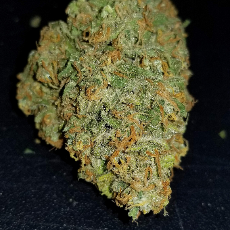 Zkittlez auto авто
