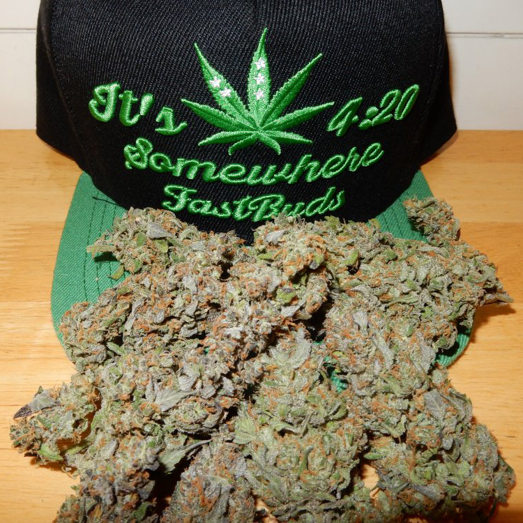 Pineapple Express Auto Seeds Fast Buds Autoflowering Cannabis